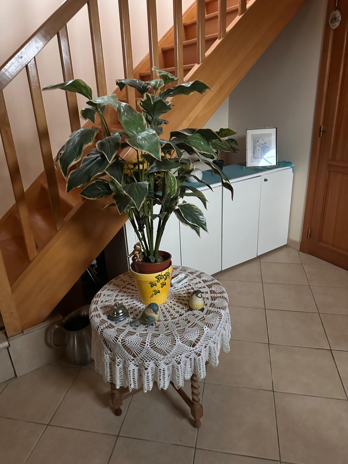 Vide appartement La Louvière - Débarras appartement